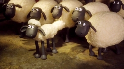 بره ناقلا (خداحافظ طویله)